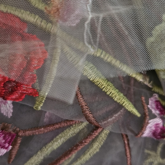 Floral Embroidered Sheer Dress - Picture 13 of 16